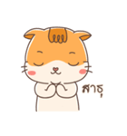 Shogun : Cat Indy（個別スタンプ：12）