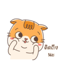 Shogun : Cat Indy（個別スタンプ：16）