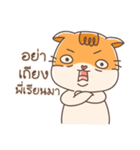 Shogun : Cat Indy（個別スタンプ：28）