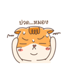 Shogun : Cat Indy（個別スタンプ：38）