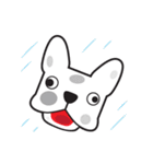 Jewyi The Frenchie 2（個別スタンプ：27）