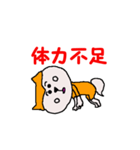 日本 柴犬 9（個別スタンプ：14）