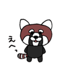 かわいいレッサーパンダ（個別スタンプ：1）