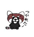 かわいいレッサーパンダ（個別スタンプ：3）