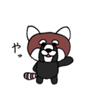 かわいいレッサーパンダ（個別スタンプ：4）