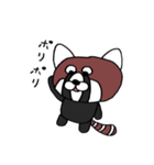 かわいいレッサーパンダ（個別スタンプ：5）