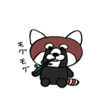 かわいいレッサーパンダ（個別スタンプ：8）