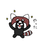かわいいレッサーパンダ（個別スタンプ：9）