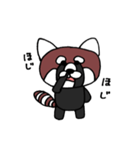 かわいいレッサーパンダ（個別スタンプ：11）