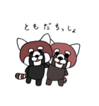 かわいいレッサーパンダ（個別スタンプ：13）