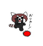 かわいいレッサーパンダ（個別スタンプ：24）