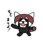 かわいいレッサーパンダ（個別スタンプ：35）