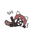 かわいいレッサーパンダ（個別スタンプ：38）