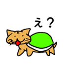 ネコ亀くん（個別スタンプ：1）