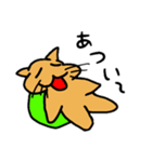 ネコ亀くん（個別スタンプ：3）