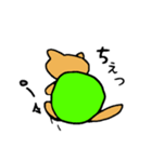 ネコ亀くん（個別スタンプ：5）