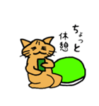 ネコ亀くん（個別スタンプ：9）