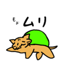 ネコ亀くん（個別スタンプ：11）