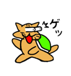 ネコ亀くん（個別スタンプ：13）
