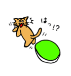 ネコ亀くん（個別スタンプ：23）