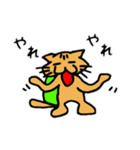 ネコ亀くん（個別スタンプ：24）