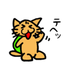 ネコ亀くん（個別スタンプ：28）