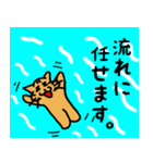 ネコ亀くん（個別スタンプ：31）