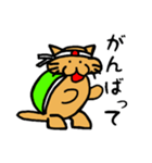 ネコ亀くん（個別スタンプ：34）