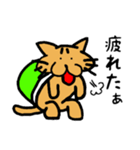 ネコ亀くん（個別スタンプ：35）