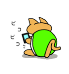 ネコ亀くん（個別スタンプ：38）