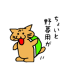 ネコ亀くん（個別スタンプ：39）