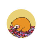 Sloth orangeSaburo（個別スタンプ：37）