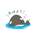 しゃちくん（個別スタンプ：3）