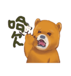 bear cute daily（個別スタンプ：27）