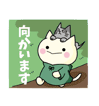 すけにゃん★助丸（個別スタンプ：11）