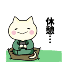すけにゃん★助丸（個別スタンプ：31）