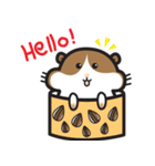 QQ Hamsters（個別スタンプ：3）