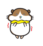 QQ Hamsters（個別スタンプ：40）