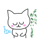 This is the cat.（個別スタンプ：33）