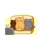 magic cats-family（個別スタンプ：35）