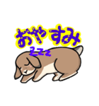 たれみみうさぎの椎名さん（個別スタンプ：2）