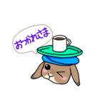 たれみみうさぎの椎名さん（個別スタンプ：6）