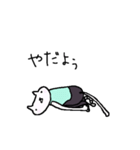 Cat, master yoga（個別スタンプ：6）