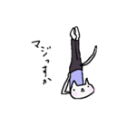 Cat, master yoga（個別スタンプ：9）