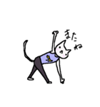 Cat, master yoga（個別スタンプ：11）