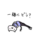 Cat, master yoga（個別スタンプ：40）