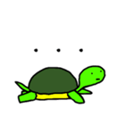 カメ吉くん（個別スタンプ：37）