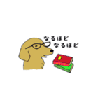ゆる〜いゴールデンレトリバー（個別スタンプ：26）