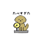 ゆる〜いゴールデンレトリバー（個別スタンプ：38）