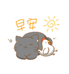 magic cats（個別スタンプ：1）